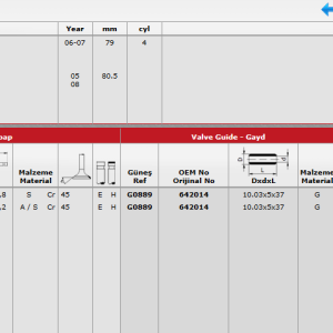 GNS-4063-4066/1 SUPAP TAKIM ASTRA J / INSIGNIA A16LET-Z16LET 180 PS 16V (STELLİTLİ)
